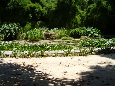 Orto Botanico in Palermo
