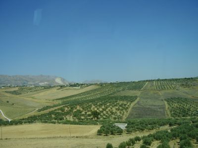 Uitzicht vanuit de kabelbaan
