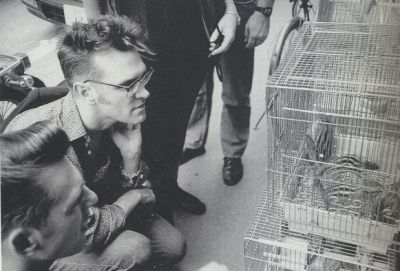 Morrissey with glasses
